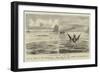 The Sea Serpent in the Mediterranean-null-Framed Giclee Print