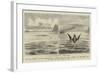 The Sea Serpent in the Mediterranean-null-Framed Giclee Print