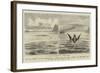 The Sea Serpent in the Mediterranean-null-Framed Giclee Print