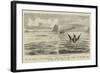 The Sea Serpent in the Mediterranean-null-Framed Giclee Print