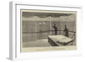 The Sea Serpent, Marine Monster Seen from the Ss City of Baltimore in the Gulf of Aden, 28 January-null-Framed Giclee Print