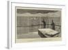 The Sea Serpent, Marine Monster Seen from the Ss City of Baltimore in the Gulf of Aden, 28 January-null-Framed Giclee Print