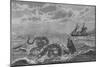 The "Sea-Serpent" Seen at Gloucester Bay Boston Massachusetts on Several Occasions-N. T. Gibson-Mounted Art Print