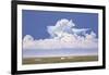 The Seabreeze Effect-Jack Saylor-Framed Art Print