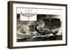 The Seafarers: in the Beginning, Man Learns to Sail-null-Framed Giclee Print