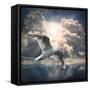 The Seagull Flying Over A Sea Against A Dramatic Sky. Background From Nature-Kletr-Framed Stretched Canvas