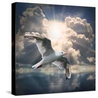 The Seagull Flying Over A Sea Against A Dramatic Sky. Background From Nature-Kletr-Stretched Canvas