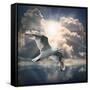 The Seagull Flying Over A Sea Against A Dramatic Sky. Background From Nature-Kletr-Framed Stretched Canvas