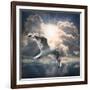 The Seagull Flying Over A Sea Against A Dramatic Sky. Background From Nature-Kletr-Framed Photographic Print