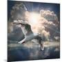 The Seagull Flying Over A Sea Against A Dramatic Sky. Background From Nature-Kletr-Mounted Photographic Print