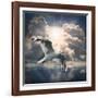 The Seagull Flying Over A Sea Against A Dramatic Sky. Background From Nature-Kletr-Framed Photographic Print
