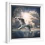 The Seagull Flying Over A Sea Against A Dramatic Sky. Background From Nature-Kletr-Framed Photographic Print