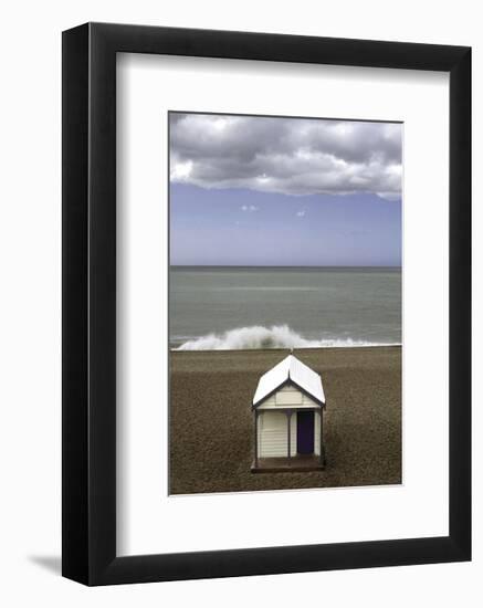 The Seagull-Gill Copeland-Framed Art Print