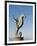 The Seahorse Sculpture on the Malecon, Puerto Vallarta, Jalisco, Mexico, North America-Michael DeFreitas-Framed Photographic Print