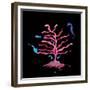 The Seahorse Tree, 2020 (mixed media)-Nancy Moniz Charalambous-Framed Giclee Print