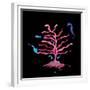 The Seahorse Tree, 2020 (mixed media)-Nancy Moniz Charalambous-Framed Giclee Print