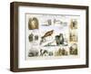 The Seal and the Walrus, C1850-Benjamin Waterhouse Hawkins-Framed Giclee Print