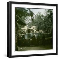 The Seals of the Jardin D'Acclimatation, Paris (XVIth Arrondissement), Circa 1890-1895-Leon, Levy et Fils-Framed Photographic Print