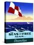 The Seas Are Free Again For Steam Leisure Travel-null-Stretched Canvas