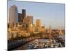 The Seattle Great Wheel, Seattle, Washington, USA-Jamie & Judy Wild-Mounted Photographic Print