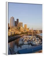 The Seattle Great Wheel, Seattle, Washington, USA-Jamie & Judy Wild-Framed Photographic Print