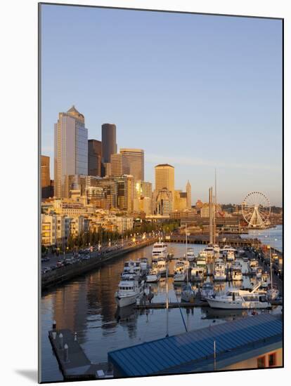 The Seattle Great Wheel, Seattle, Washington, USA-Jamie & Judy Wild-Mounted Photographic Print