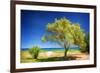 The Second One-Philippe Sainte-Laudy-Framed Giclee Print