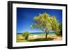 The Second One-Philippe Sainte-Laudy-Framed Giclee Print