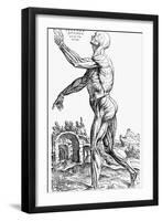 The Second Plate of the Muscles, from Book II of De Humani Corporis Fabrica, 1543-Andreas Vesalius-Framed Giclee Print