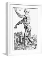 The Second Plate of the Muscles, from Book II of De Humani Corporis Fabrica, 1543-Andreas Vesalius-Framed Giclee Print