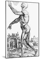 The Second Plate of the Muscles, from Book II of De Humani Corporis Fabrica, 1543-Andreas Vesalius-Mounted Giclee Print