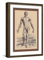 The Second Plate of the Muscles-Andreas Vesalius-Framed Art Print