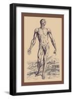 The Second Plate of the Muscles-Andreas Vesalius-Framed Art Print