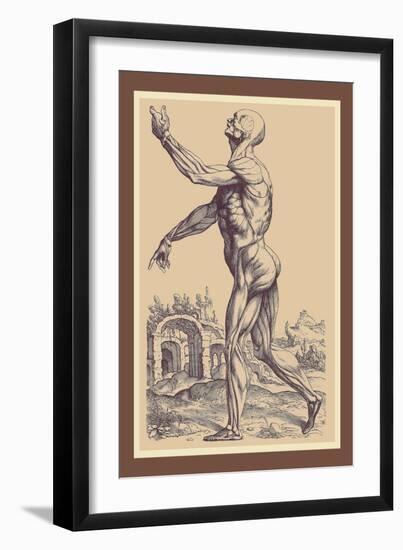 The Second Plate of the Muscles-Andreas Vesalius-Framed Art Print