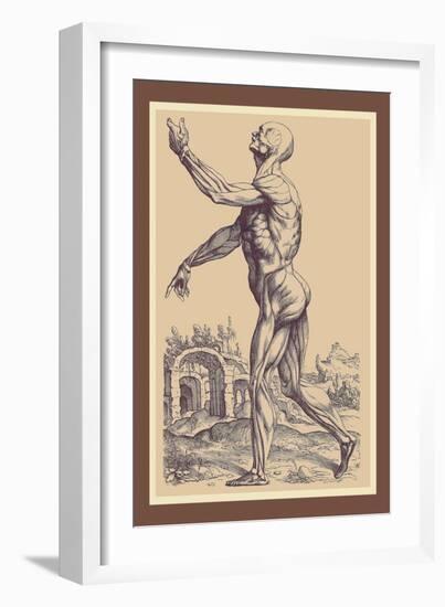 The Second Plate of the Muscles-Andreas Vesalius-Framed Art Print