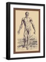 The Second Plate of the Muscles-Andreas Vesalius-Framed Art Print