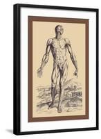 The Second Plate of the Muscles-Andreas Vesalius-Framed Art Print