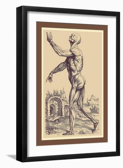 The Second Plate of the Muscles-Andreas Vesalius-Framed Art Print