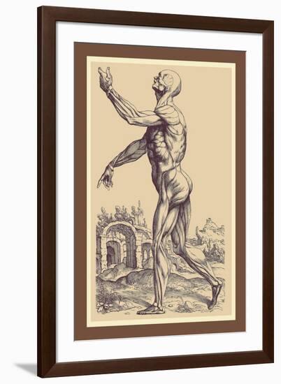 The Second Plate of the Muscles-Andreas Vesalius-Framed Art Print