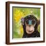 Brown Frame