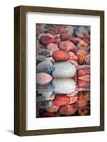 The Secrets of the Pebbles-Philippe Sainte-Laudy-Framed Photographic Print