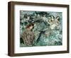 The See-Saw, 1905-Edward Atkinson Hornel-Framed Giclee Print