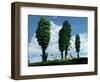 The Seeds-Stephane Poulin-Framed Giclee Print