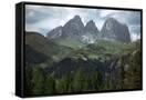 Canvas Black