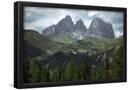 Essential Black