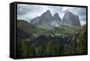 Canvas Black