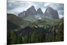 Wood Mount