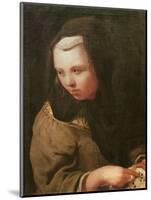 The Sense of Hearing-Michael Sweerts-Mounted Giclee Print