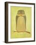 The Sensible Owl-John W Golden-Framed Giclee Print