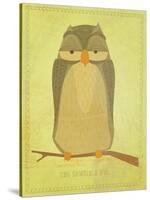 The Sensible Owl-John W Golden-Stretched Canvas